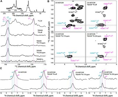 Determination of Histidine Protonation States in Proteins by Fast Magic Angle Spinning NMR